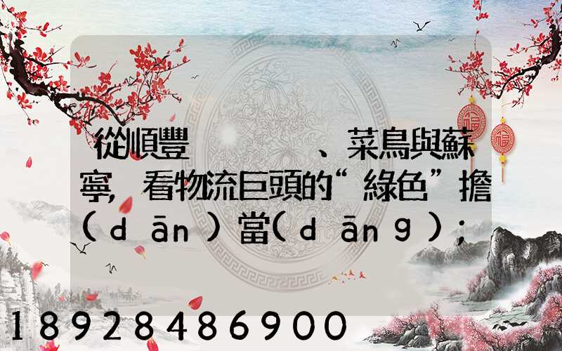 從順豐、菜鳥與蘇寧,看物流巨頭的“綠色”擔(dān)當(dāng)